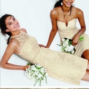 J.Crew, Pamela Dress in Leavers Lace, size 12